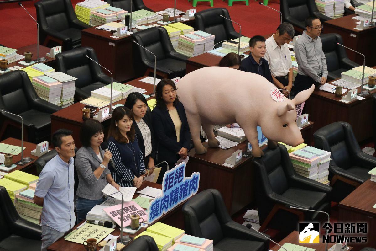 ▲國民黨高雄市議員一次有九人進行聯合質詢。（圖／記者鄭婷襄攝）