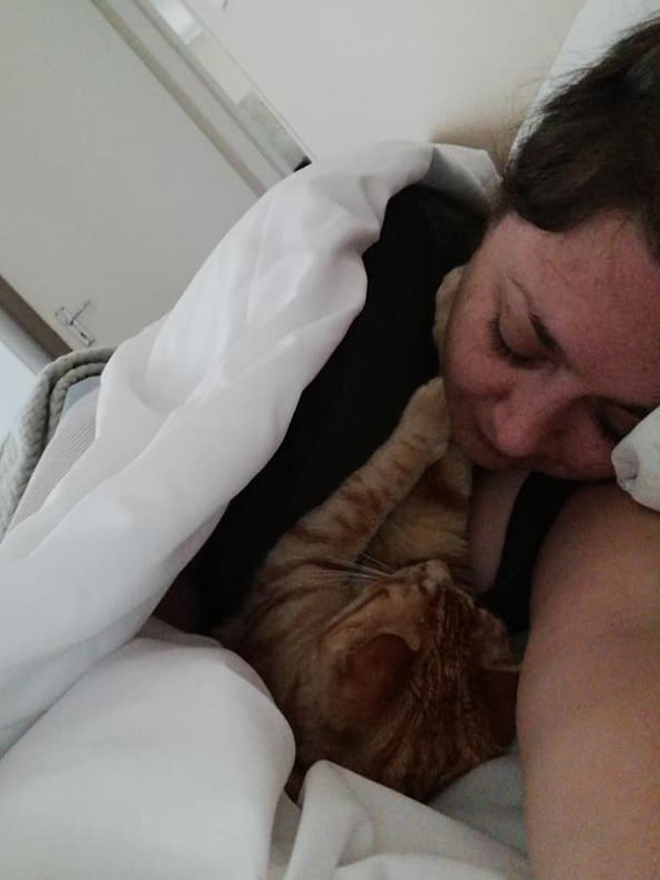 鄰家橘貓每天混入女子家　大方睡床：都是一家人嘛！