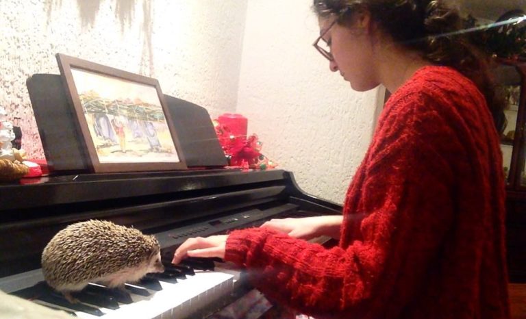 主人～偶也要彈鋼琴～～（圖／Instagram＠chappi_momma）