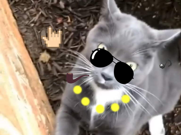 一見人來，「電音貓貓」立馬街頭開唱！（圖／Instagram @kittens.vig） 