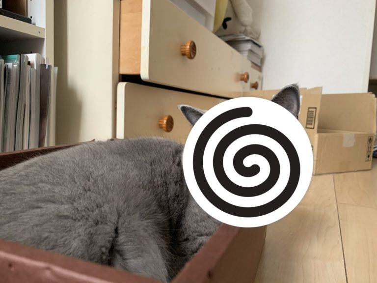 日本一隻灰貓睡在紙箱的照片意外引起網友熱議（圖／twitter@ohagi_zzz）