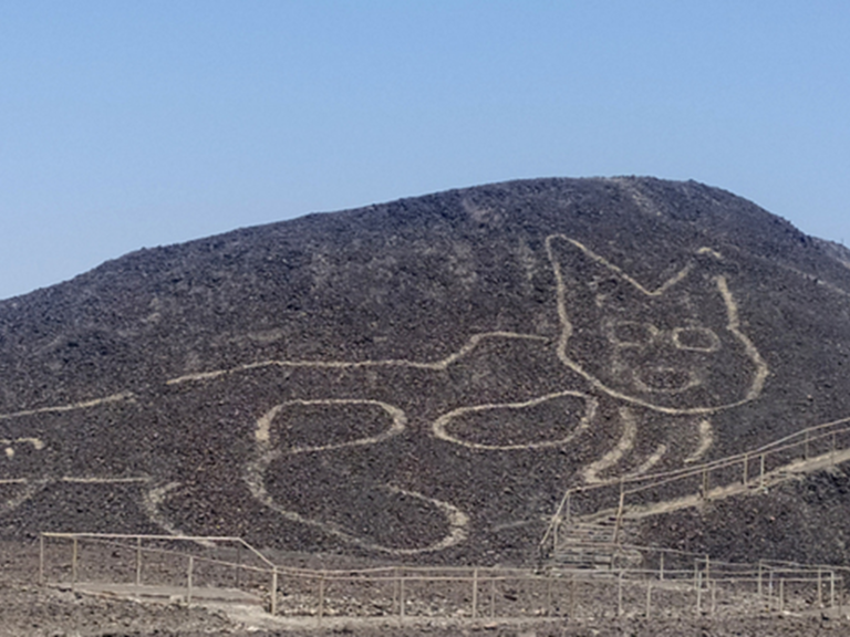 祕魯沙漠「千年貓貓」現蹤！巨型圖騰曝　網笑翻：誰畫的
