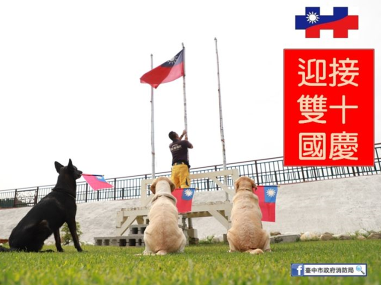 全國最療癒國慶升旗！台中搜救犬祝國家生日
