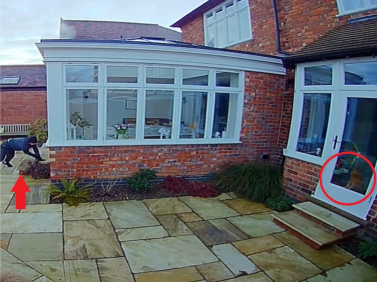 英國一名男子在清晨準備行竊時，被屋內橘貓全程目睹（圖／翻攝自YoutubeNottinghamshire Police）
