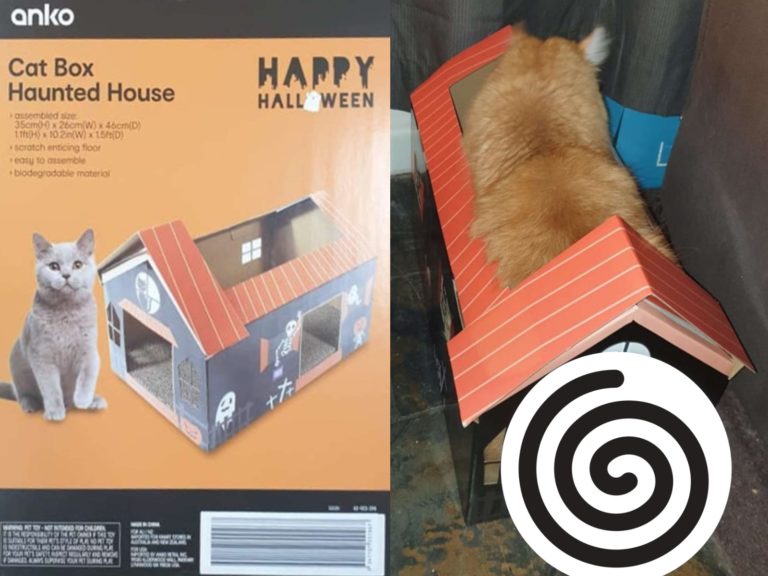 國外一名女網友日前幫橘貓買一款紙貓屋，卻發現尺寸太小（圖／Kira-Kay Wilson）
