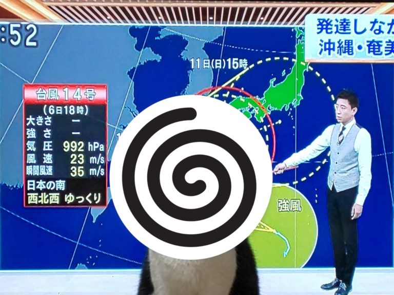日本一名推主分享颱風動態圖，意外吸引網友熱議（圖／twitter@417935）