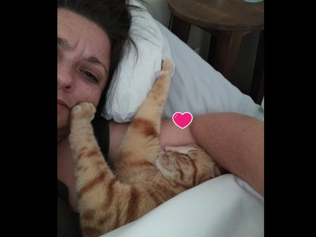 鄰家橘貓大方地進入女子家，還跟她一起睡床（圖／FB@Tamsyn Bouttell）