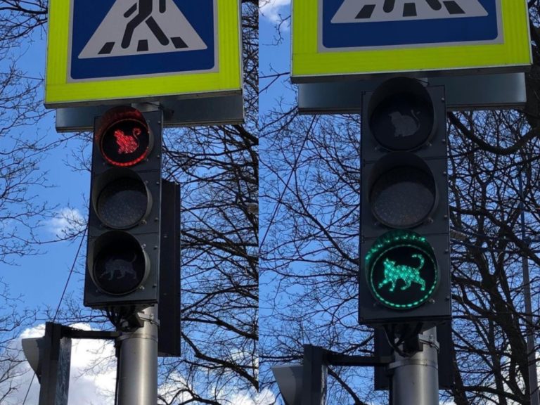 俄羅斯一小鎮因為太愛貓，將交通號誌改成「貓咪紅綠燈」（圖／翻攝自vk@Подслушано Зеленоградск）