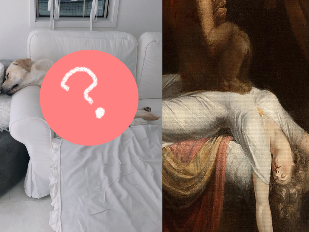 平常就睡姿自由的 Siroop，竟一覺睡成「世界名畫」（圖／Twitter@clover04101016） 