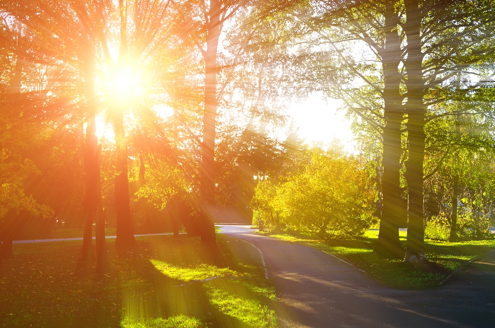 湯鎮瑋老師農曆九月（10/17-11/14）生肖運勢。（圖／shutterstock）