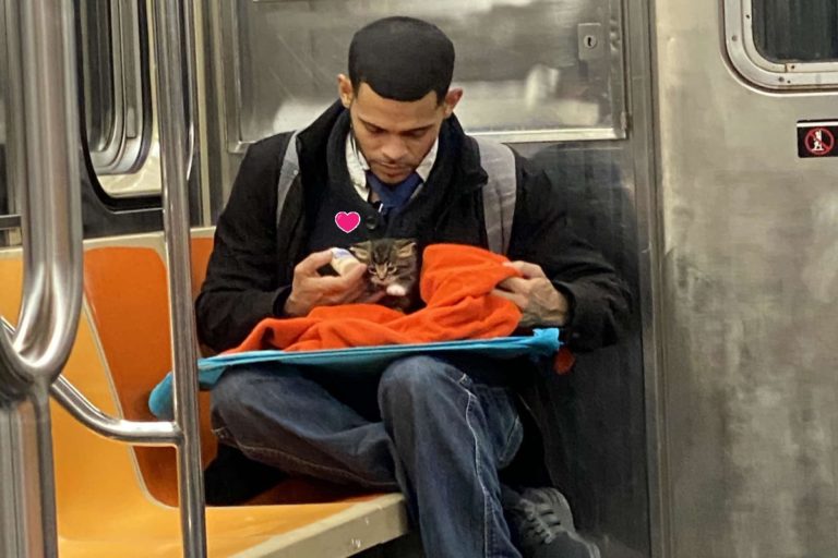 ▲搭地鐵見毯子探出小萌貓，暖男細心餵奶：要乖乖長大喔！（圖／FB@Gillian Rogers）