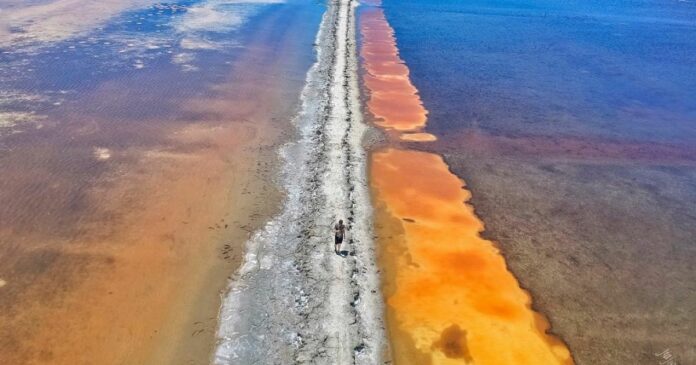 ▲七股廢鹽灘 Cigu Salt Pan Wetland | Photo courtesy of @jiajie_j/Instagram