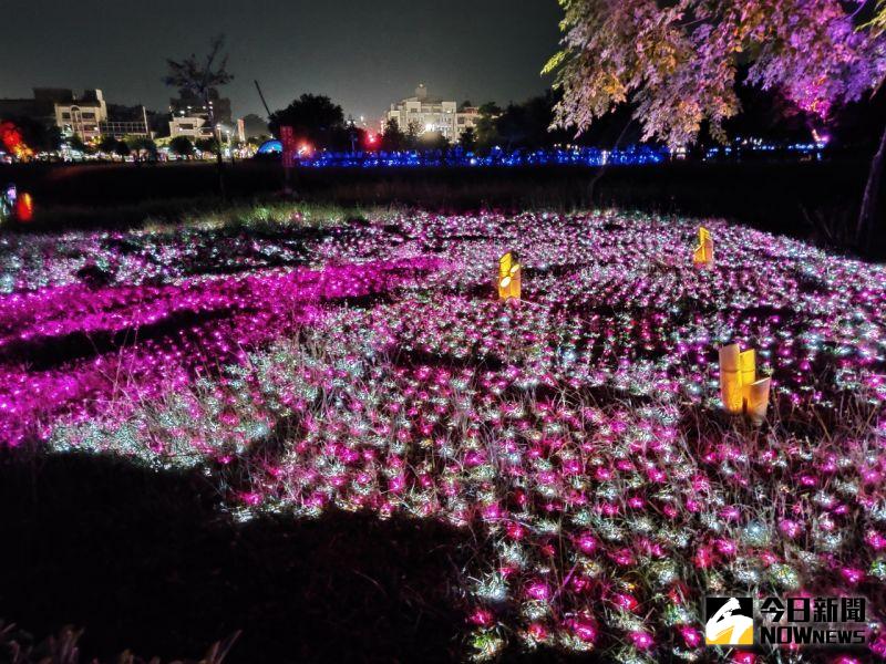 ▲北香湖「光織影舞」開展一個月已吸引70萬人潮，11月1日晚間將畫下句點。（圖/記者邱嘉琪攝）