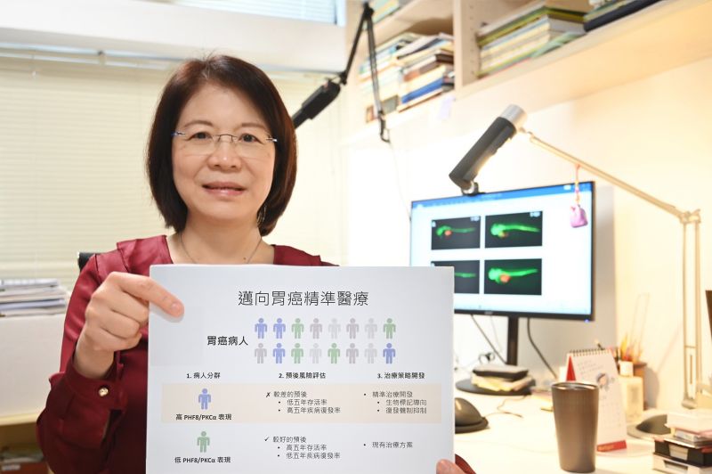 清大團隊發現胃癌精準新標靶療法　腫瘤縮小不轉移