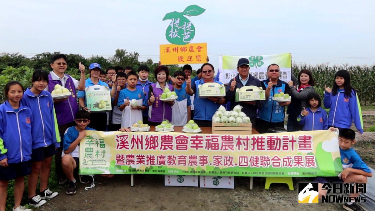 ▲溪州鄉農會四健會帶領溪陽國中初級四健會小四健在融梨芭樂園，舉辦「提拔提芭作業組」體驗活動，讓孩子體驗人工包芭樂。（圖／記者陳雅芳攝，2020.11.04）