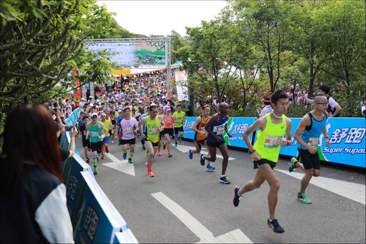 ▲新竹縣客家桐花祭系列活動中最美麗的”戀戀桐花路跑賽”，將於11月15日在橫山鄉內灣合興車站盛大舉行。(圖/主辦單位提供)