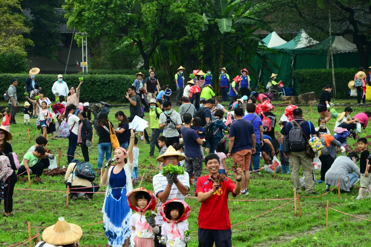 ▲六堆客家文化園區為搭配「五穀豐登 慶秋收-2020秋收祭系列活動」活動，辦理農事學堂採菜趣活動，現場吸引了250多位民眾共同參與，採菜趣活動帶領民眾體驗農耕生活、擔任一日農夫。（圖／六堆客家文化園區提供,2020.11,08）