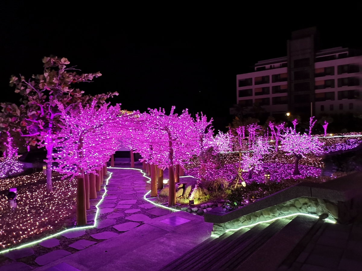 ▲2020最浪漫的屏東四重溪溫泉季活動，在四重溪溫泉公園熱鬧點燈啟動，充滿溫馨的桃紅燈海燈光閃閃、桃花遍野。（圖／屏東縣政府提供,2020.11,09）