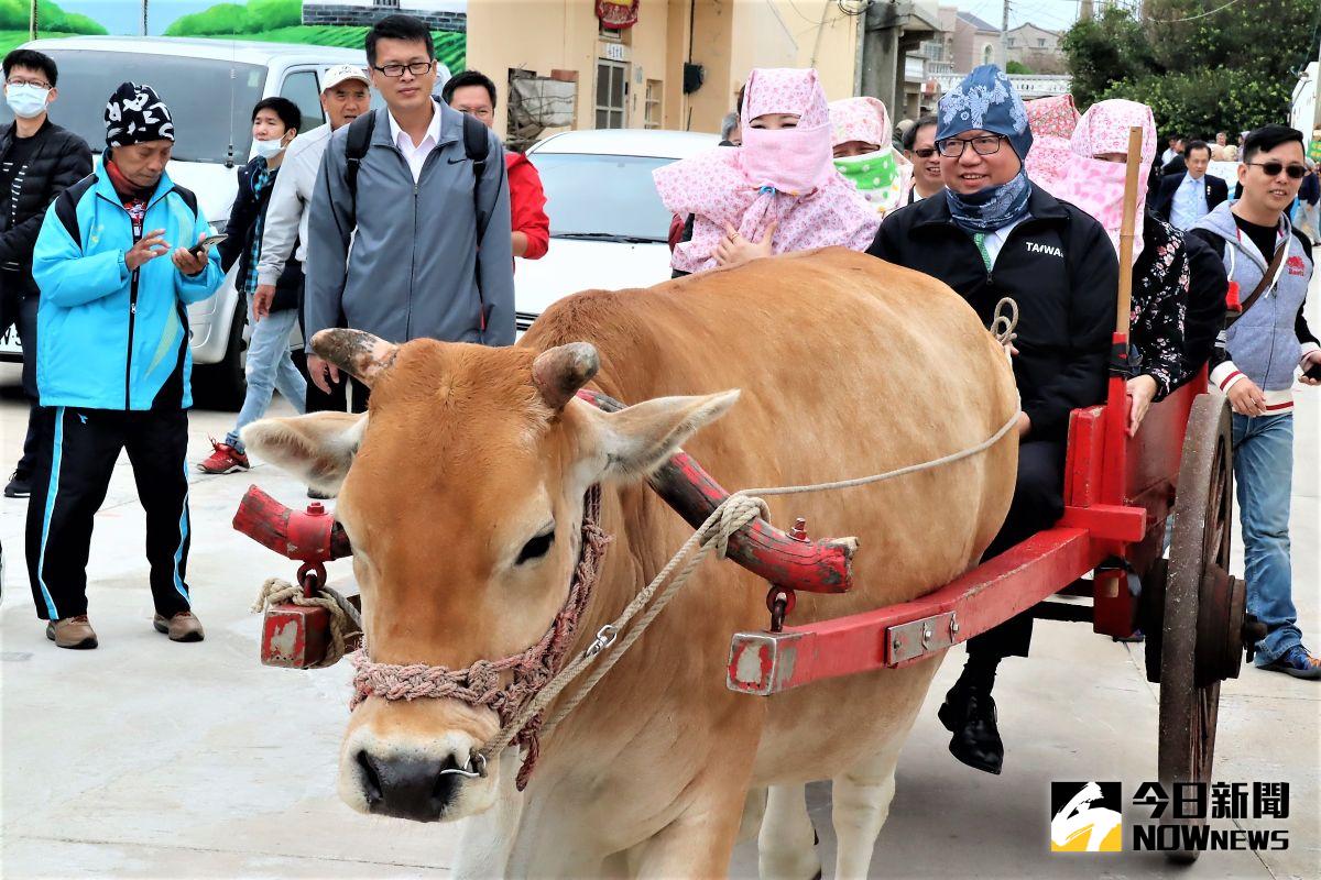 ▲桃園市長鄭文燦10日上午到2017年全球百大綠色旅遊地「南寮社區」參訪，體驗澎湖離島常民生活的綁頭巾、坐牛車等行程。（圖／記者張塵攝，2020.11.10）