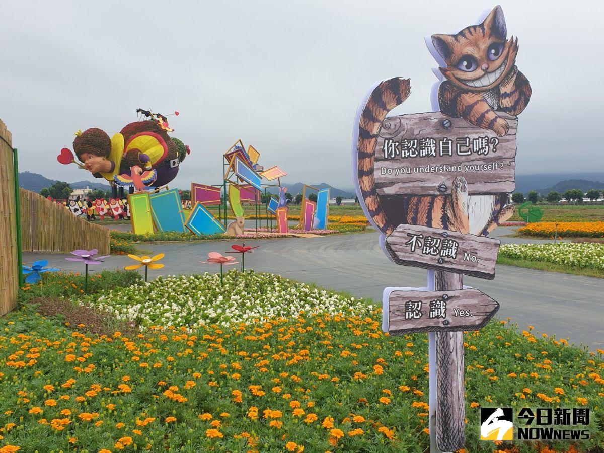 ▲台中國際花毯節首創沈浸式體驗，入口就有柴郡貓提問，不同抉擇，將決定你探險路徑，多了互動趣味。（圖／記者金武鳳攝)