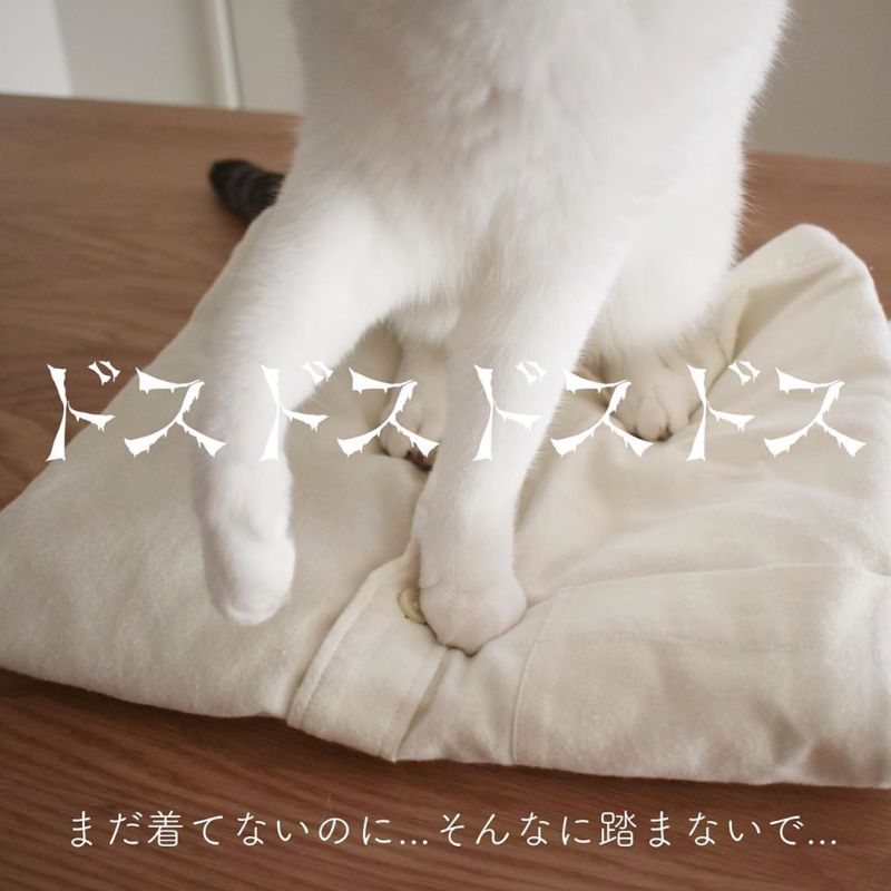 ▲舒服到不想起來?(圖/IG@less_i_0)