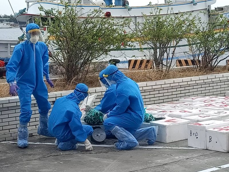 ▲大陸地區的大閘蟹經常被檢驗出含戴奧辛等致癌物質。(圖/記者陳聖璋翻攝)
