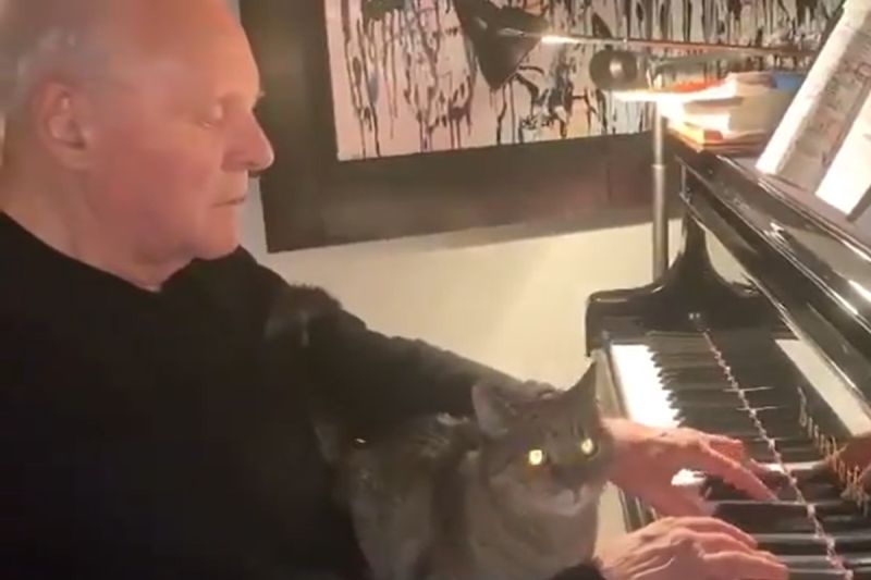 安東尼霍普金斯樂當「貓奴」　擁牠入懷彈琴給愛貓聽
