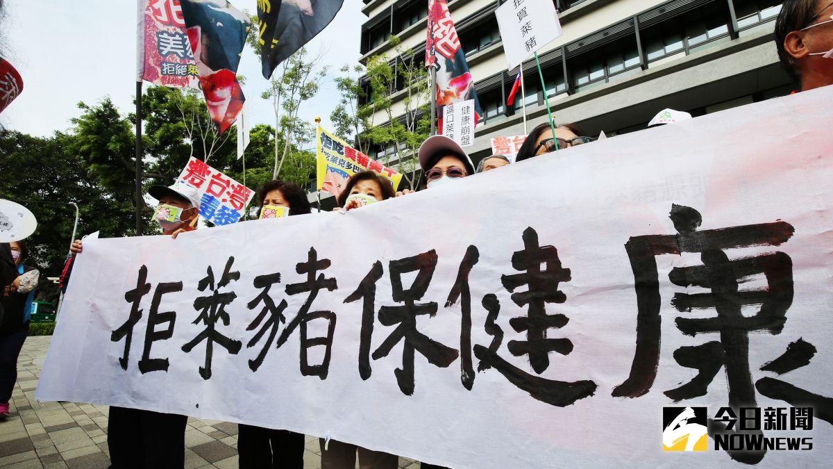 ▲萊豬、萊牛開放議題持續延燒，今（13）日台灣消費者保護協會率隊到行政院南服中心抗議，發起拒吃萊豬萊牛抗議行動。（圖／記者郭俊暉攝，2020.11.13）