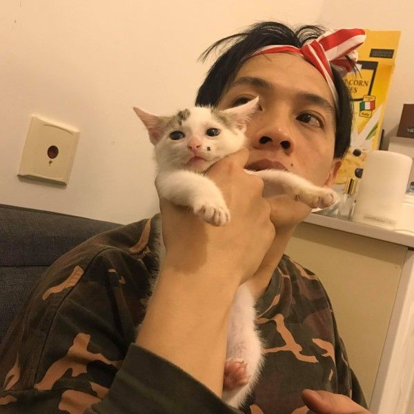 ▲網友Maone三年前與友人吃飯時,意外遇見小浪貓「冰袋」,雖然冰袋初見奴才時氣噴噴,不過很快就適應了(圖/網友Maone