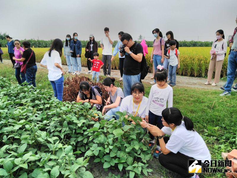 影／青農夫妻檔食農發表　邀你加入大豆食農永續生活

