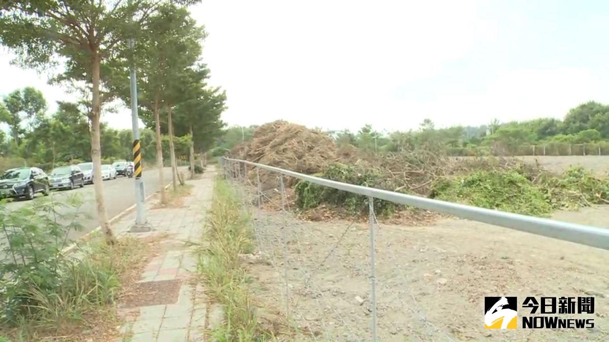 ▲田中鎮高鐵站區滯洪池淪為廢棄木材及大型廢棄傢俱的「墳場」，將會失去滯洪、蓄水的功能。（圖／記者陳雅芳攝，2020.11.15）