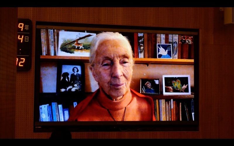 ▲靈長類動物學家珍古德博士（Jane Goodall）透過視訊演說，探討疫情後生活、自然生態保育與環境永續發展。(圖／記者陳惲朋翻攝）