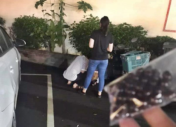 ▲網友分享行經花園夜市看到一位年幼的女童在賣零食。(圖/翻攝台南爆料公社)