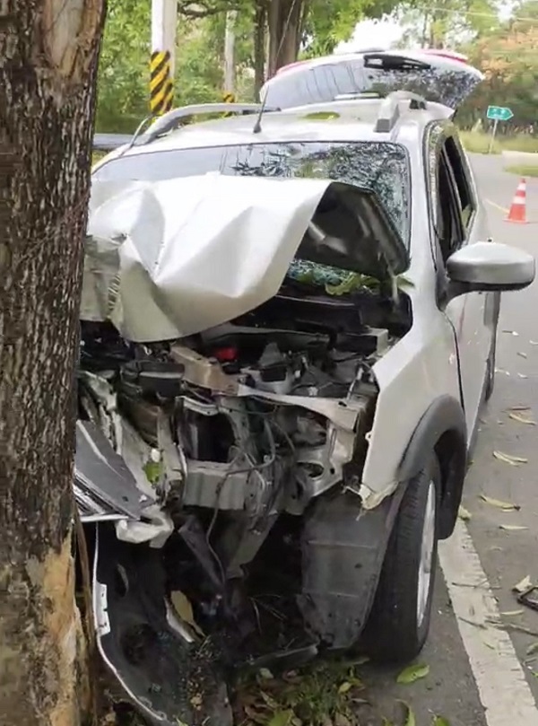 兒子駕車自撞路樹受傷　母親當場身亡釀悲劇
