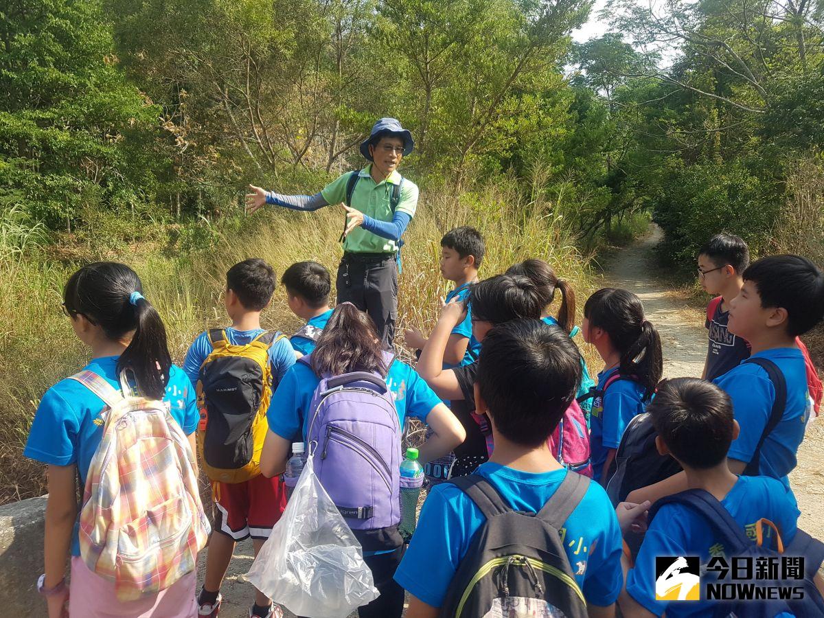 ▲香田國小山野教育志工帶領高年級學童挑戰有小百岳之稱的橫山，踏上18彎古道，沿途認識野生植物和地方特色農作物。（圖／記者陳雅芳攝）