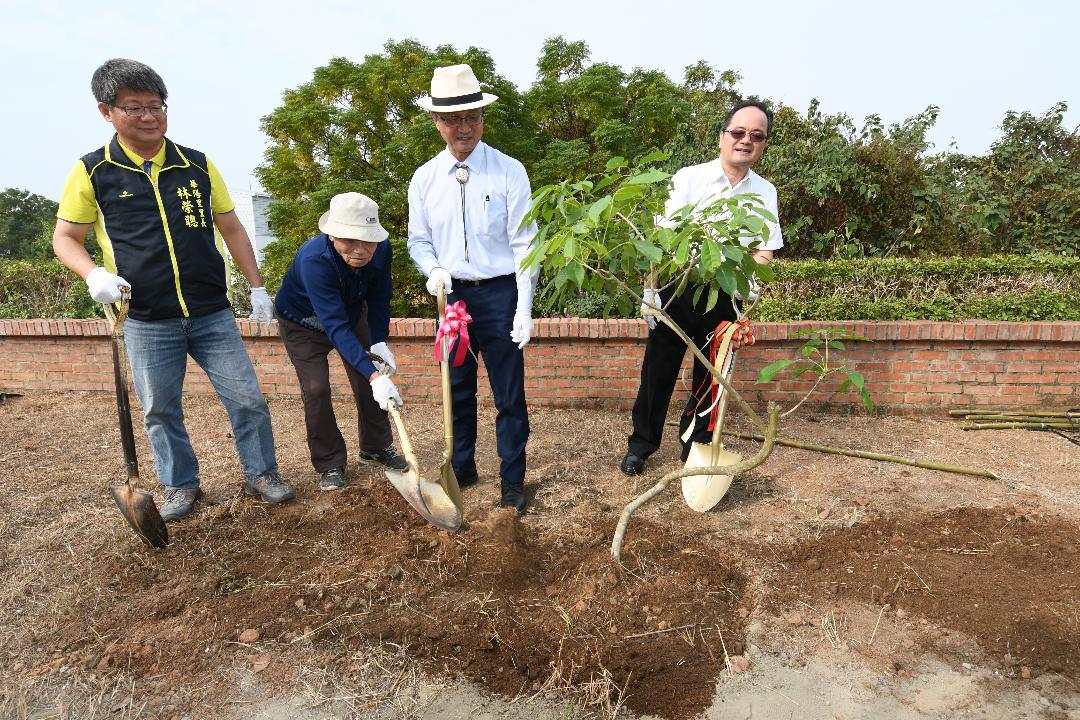 ▲彰化市長林世賢與園藝專家張昭英、保四副總隊長林逢泉以及華陽里長林榮聰，在保四總隊附近空地栽種繁殖成功的三倍體洋紅風鈴木。（圖／記者葉靜美攝，2020.11.16）
