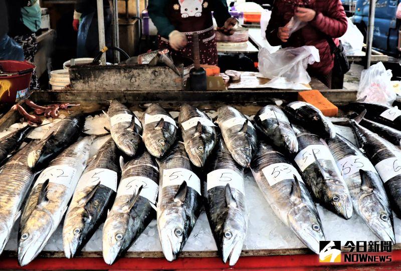 土魠魚汛來了！馬公魚市場10公斤大小每公斤叫價1000元
