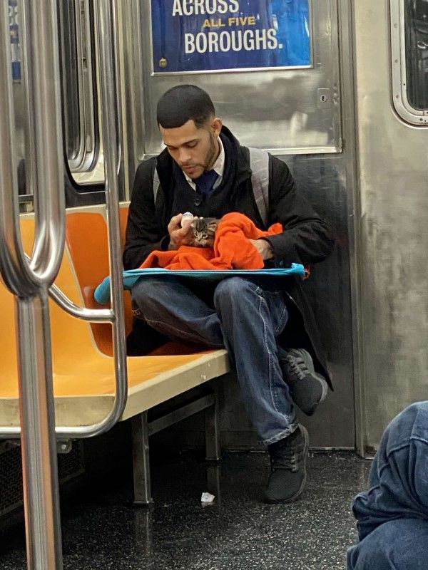 ▲動物救援組織的創始人吉莉安日前在紐約搭地鐵時，一名男子吸引她的注意（圖／FB@Gillian