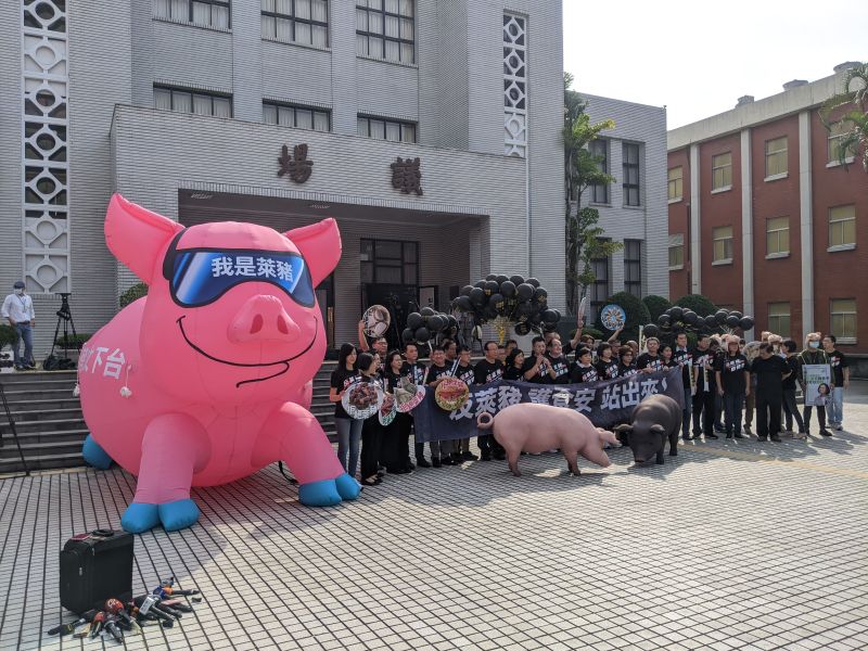 ▲國民黨反萊豬,曾製作一隻大型粉紅豬,要向蔡政府表達抗議。(圖/記者鄭宏斌攝,2020.11.20)