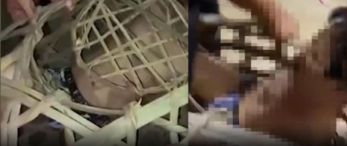 ▲廣東茂名市電白區發生一起感情糾紛，遭戴綠帽的人夫將小王「浸豬籠」。（圖／翻攝微博）