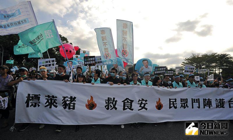 ▲台灣民眾黨22日由黨秘書長謝立功帶領立法院黨團立委,號召3000名支持者,一同響應秋鬥反萊豬遊行走上街頭抗議。(圖/記者林柏年攝,2020.11.22)
