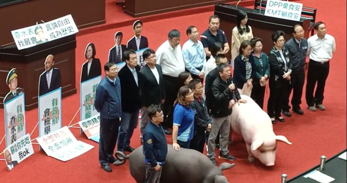 ▲國民黨團總召林為洲強調，警方的責任在於維護活動順利進行，並不需要去關心民眾有沒有上街參加秋鬥。　（圖／翻攝立法院國民黨團直播）