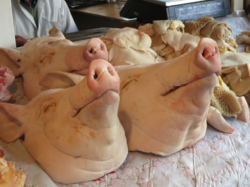 ▲中國天津疫情防控小組指出，當地疫情與進口冷凍食品有關。豬頭示意圖。（圖／翻攝自Pixabay）