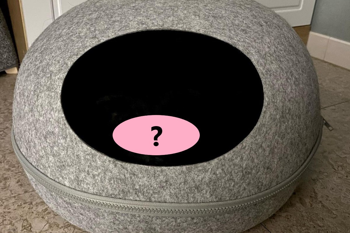 ▲黑貓與貓窩融為一體（圖／IG＠meon___ji）