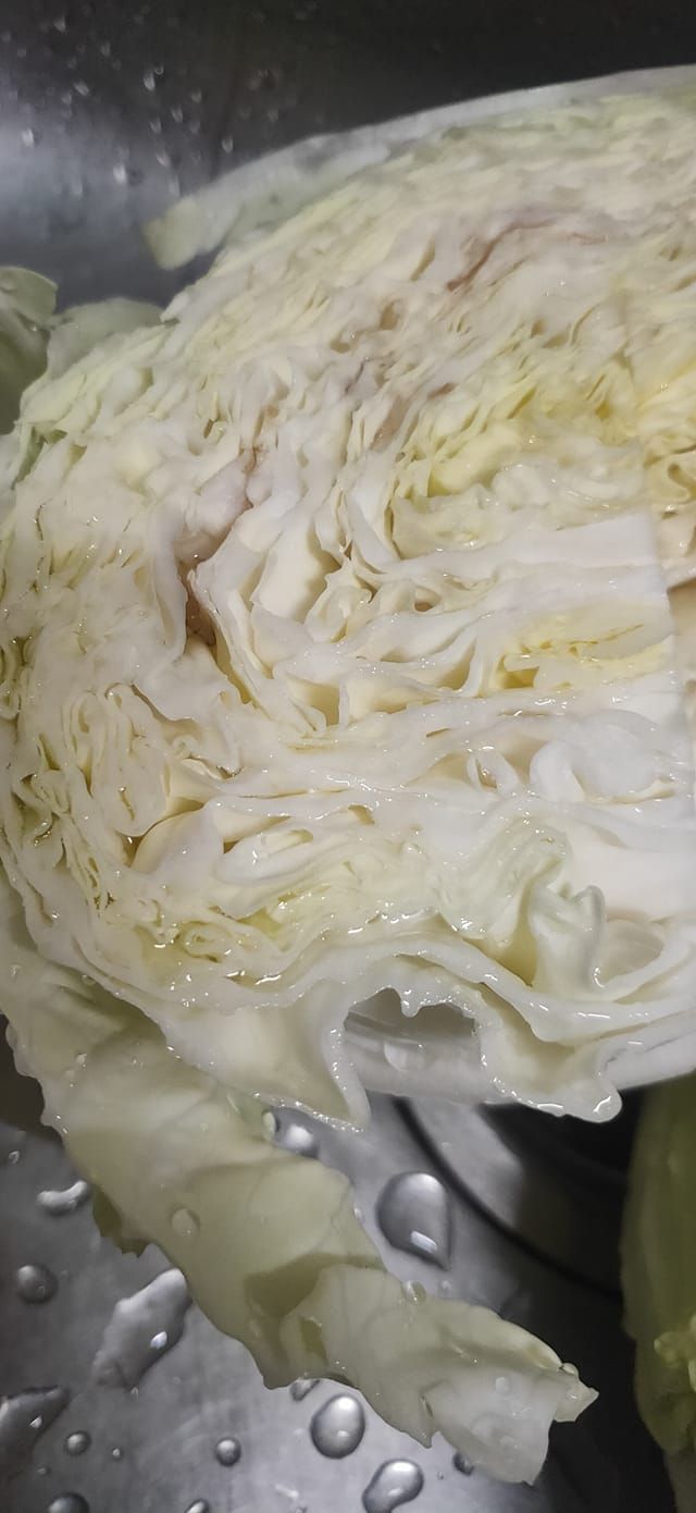 ▲原PO貼出照片詢問「中間為什麼會有像燒焦的葉子?」(圖/翻攝爆系知識家臉書)