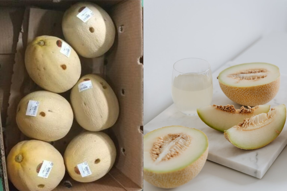 ▲北海道一間超市的員工，發現店內的13顆高級哈密瓜被人戳洞，總共損失1萬4千日幣。（示意圖／翻攝自《HBC》及《pixabay》 ）