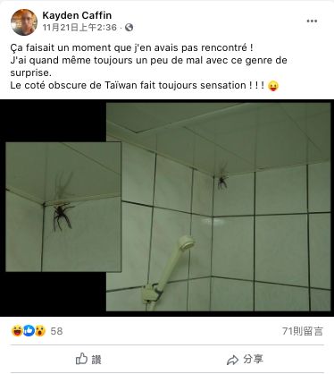 ▲圖/截自臉書Communauté