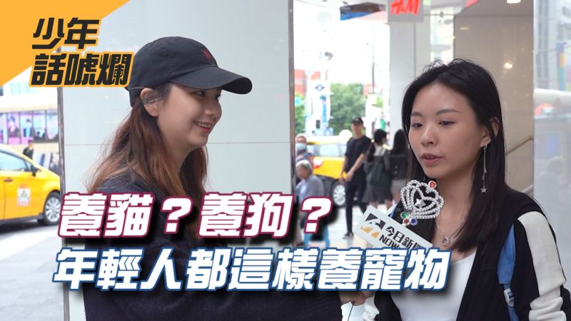 【NOW少年】愛貓還是愛狗? 養寵物前必須知道的10件事