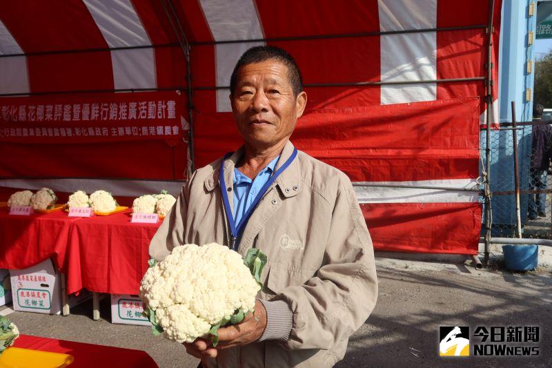 ▲花椰菜評鑑冠軍得主楊火城說，把花椰菜當做家裡小孩一樣的細心、用心照顧，拿到冠軍也讓他的辛勞有所代價。（圖／記者陳雅芳攝，2020.11.28）