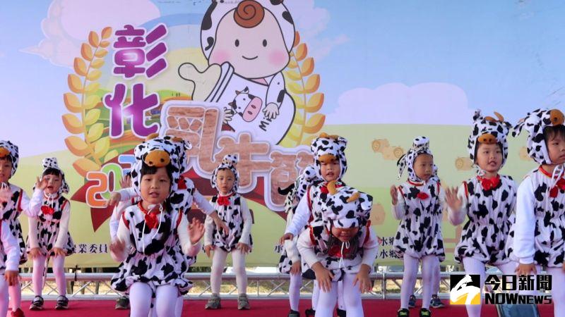 ▲秀水鄉小朋友乳牛打扮,可愛地傳遞彰化生乳量全國第一。(圖/記者陳雅芳攝,2020.11.29)